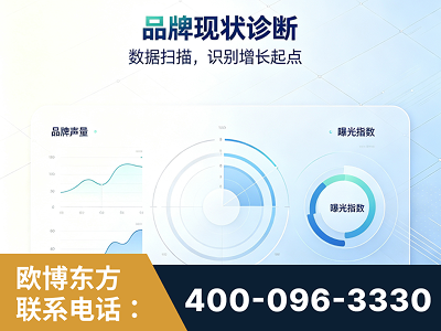 大理-品牌现状诊断