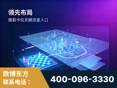 大理-领先布局：于2024年初开启GEO业务的公司